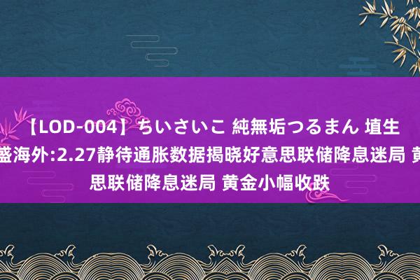 【LOD-004】ちいさいこ 純無垢つるまん 埴生みこ FPG财盛海外:2.27静待通胀数据揭晓好意思联储降息迷局 黄金小幅收跌