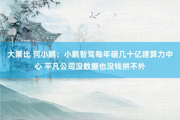 大黑比 何小鹏：小鹏智驾每年砸几十亿建算力中心 平凡公司没数据也没钱拼不外