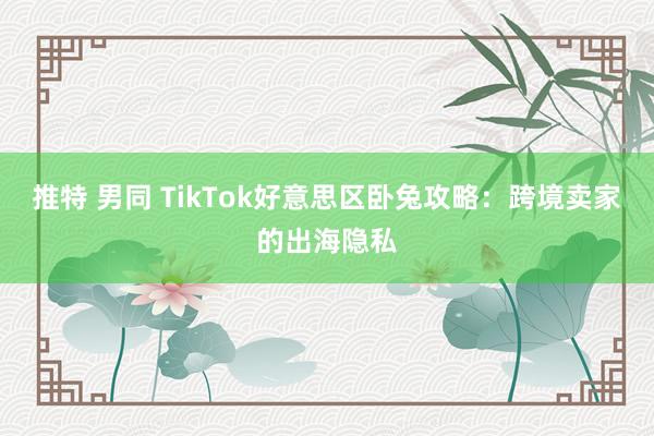 推特 男同 TikTok好意思区卧兔攻略：跨境卖家的出海隐私