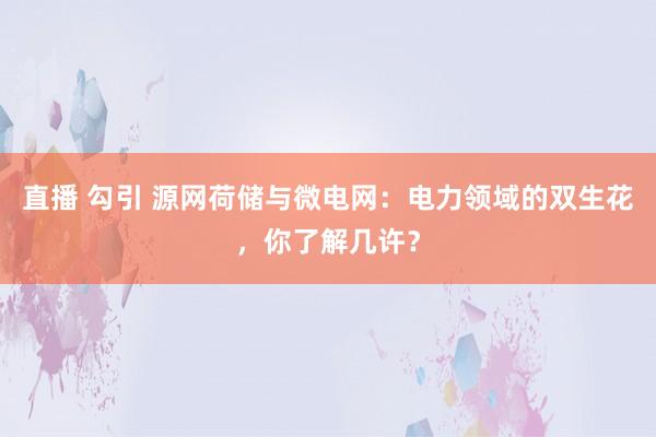 直播 勾引 源网荷储与微电网：电力领域的双生花，你了解几许？
