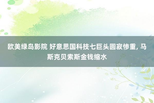 欧美绿岛影院 好意思国科技七巨头圆寂惨重， 马斯克贝索斯金钱缩水