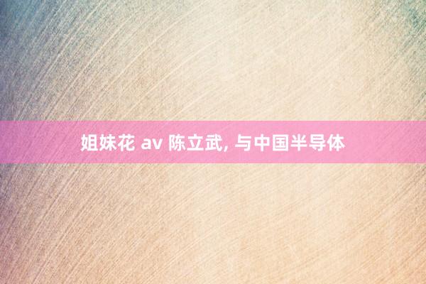 姐妹花 av 陈立武， 与中国半导体