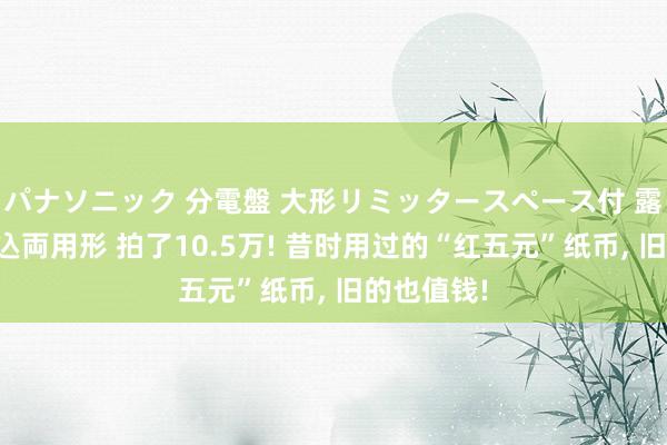 パナソニック 分電盤 大形リミッタースペース付 露出・半埋込両用形 拍了10.5万! 昔时用过的“红五元”纸币， 旧的也值钱!