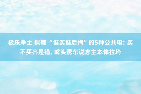 极乐净土 裸舞 “谁买谁后悔”的5种公共电: 买不买齐是错， 噱头诱东说念主本体拉垮