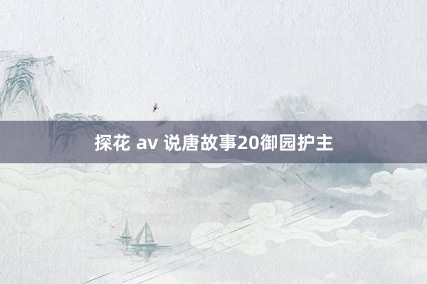 探花 av 说唐故事20御园护主