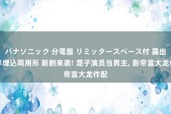 パナソニック 分電盤 リミッタースペース付 露出・半埋込両用形 新剧来袭! 混子演员当男主， 影帝富大龙作配