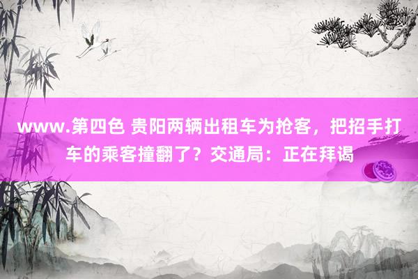 www.第四色 贵阳两辆出租车为抢客，把招手打车的乘客撞翻了？交通局：正在拜谒