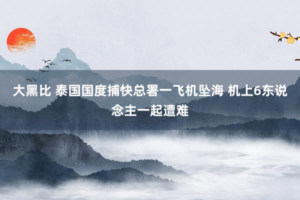 大黑比 泰国国度捕快总署一飞机坠海 机上6东说念主一起遭难