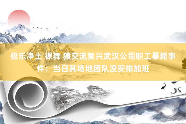 极乐净土 裸舞 猿交流复兴武汉公司职工暴毙事件：当日其场地团队没安排加班