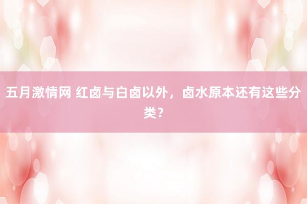 五月激情网 红卤与白卤以外，卤水原本还有这些分类？