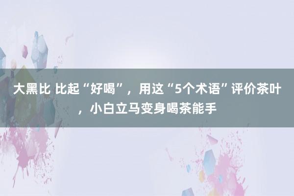 大黑比 比起“好喝”，用这“5个术语”评价茶叶，小白立马变身喝茶能手