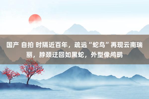 国产 自拍 时隔近百年,疏远“蛇鸟”再现云南瑞丽,脖颈迂回如黑蛇,外型像鸬鹚