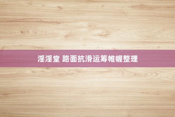 淫淫堂 路面抗滑运筹帷幄整理