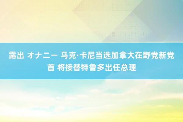 露出 オナニー 马克·卡尼当选加拿大在野党新党首 将接替特鲁多出任总理