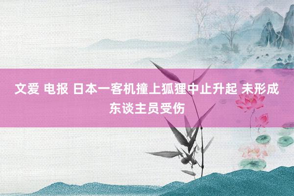 文爱 电报 日本一客机撞上狐狸中止升起 未形成东谈主员受伤